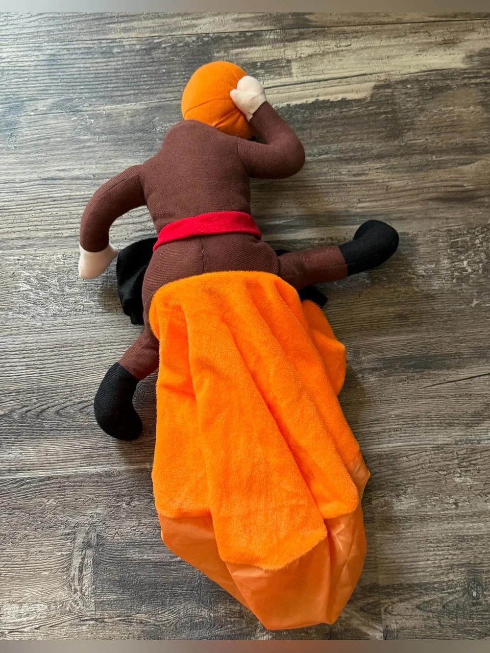 Pumpkin headless horseman orange brown Halloween dog costume size L/XL